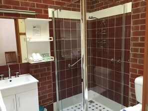 Baño con ducha envuelta en vidrio, lavamanos con espejo y repisa con artículos de aseo.