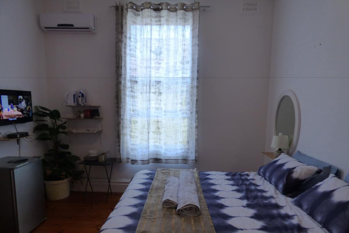 A bedroom with a bed, a TV, a desk, a potted plant, and a window with curtains.