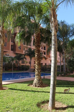 Una palma, una zona erbosa e un edificio con balconi.