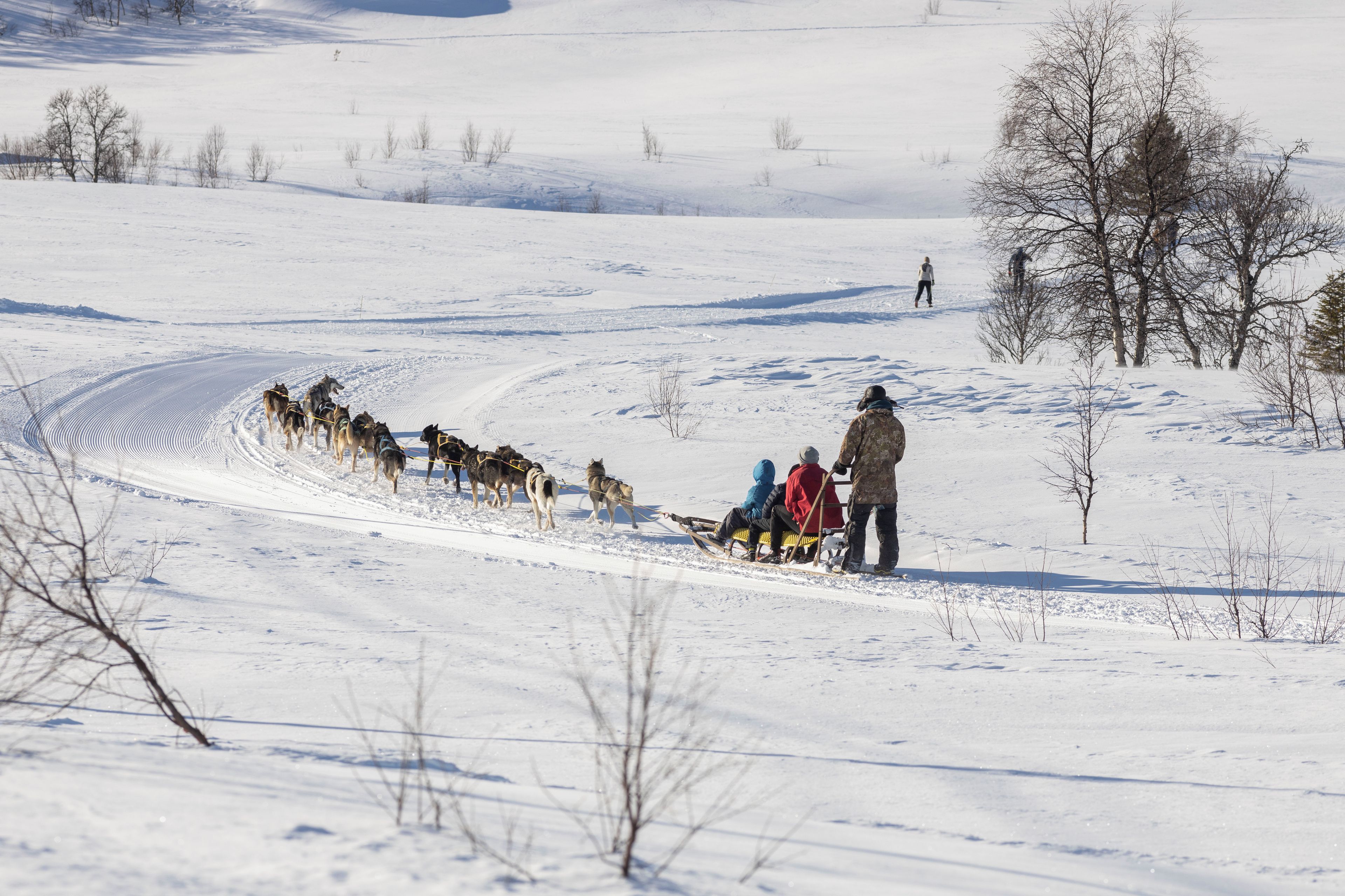 Sledding