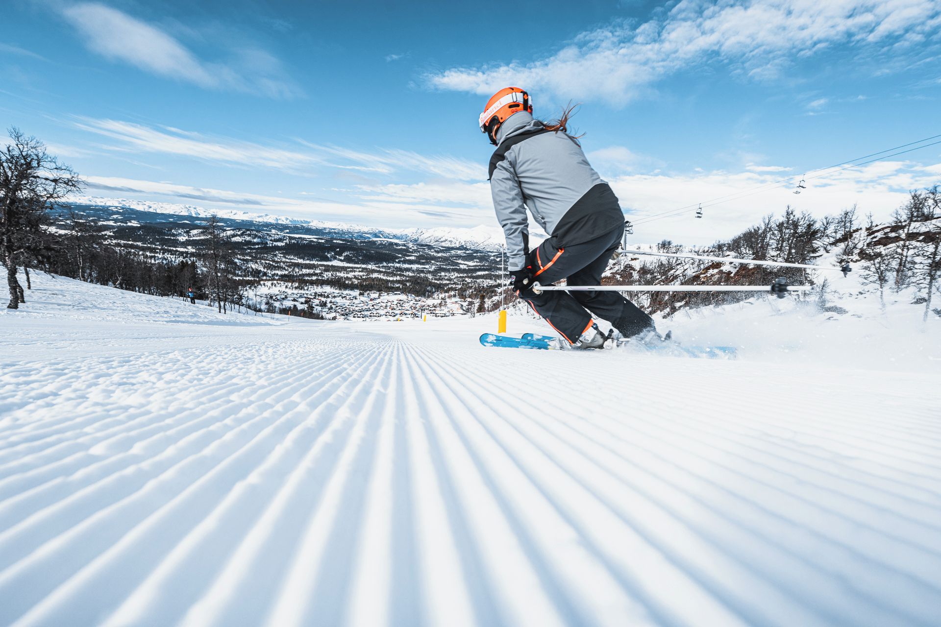 Ski