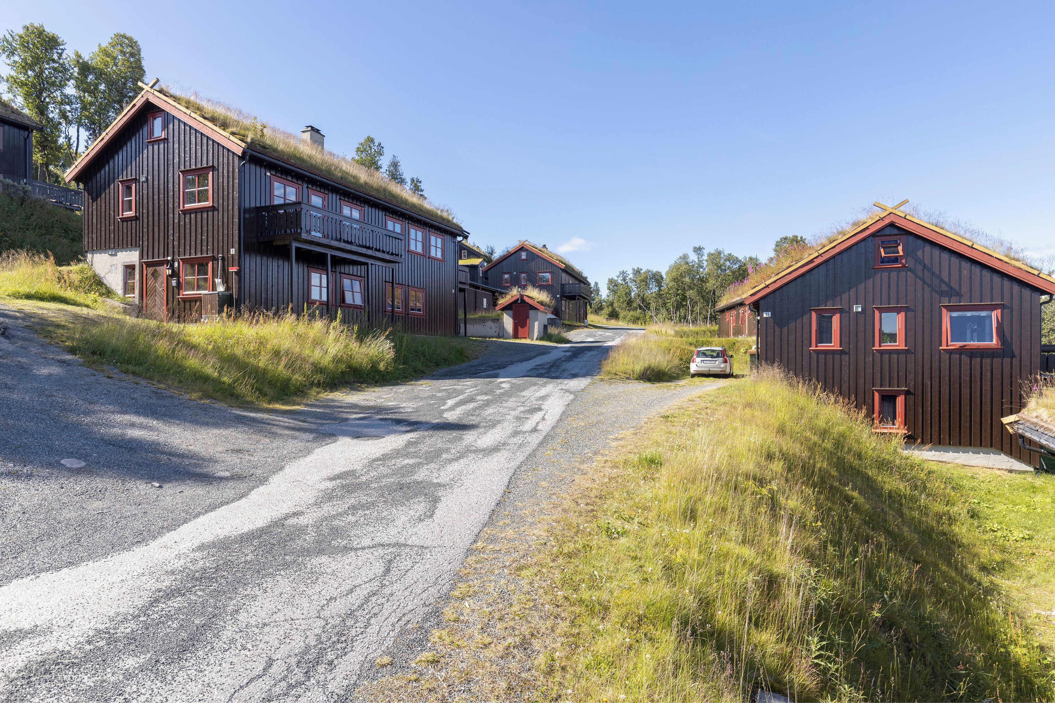 Un camino rural que conduce a una hilera de casas de madera con detalles rojos, rodeado de pasto y árboles.