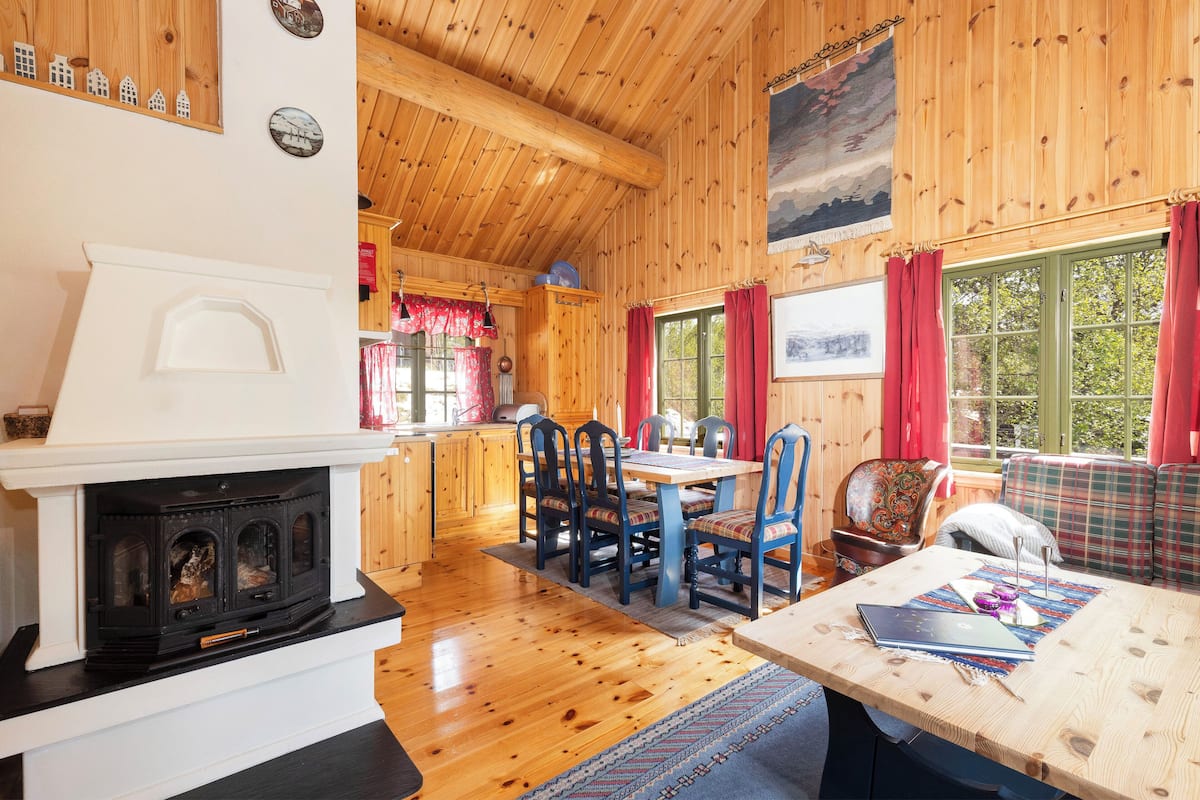 Basic Cabin, 2 Bedrooms, Pets Allowed, Slope side | Living area | 24-inch flat-screen TV with cable channels, TV, fireplace