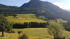 Balcony view - Haus Wötzinger (Berwang)