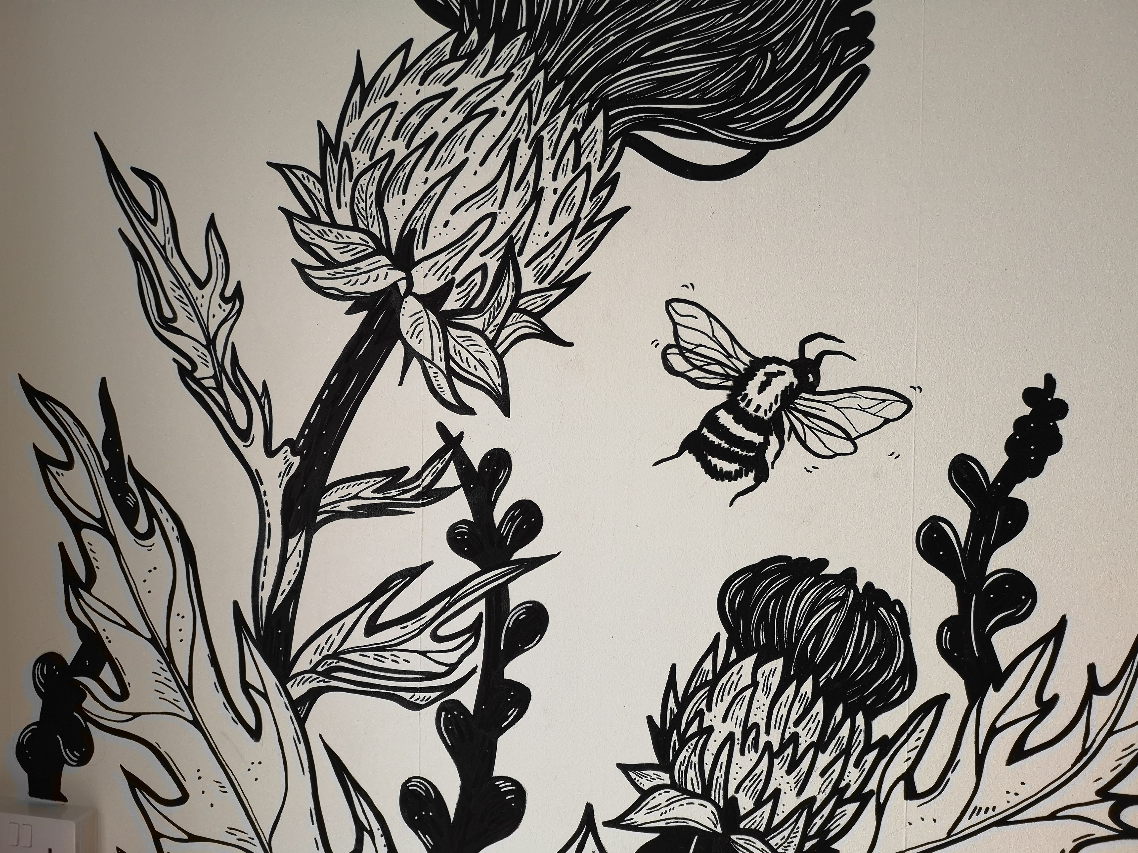 Photo - Inverness Youth Hostel