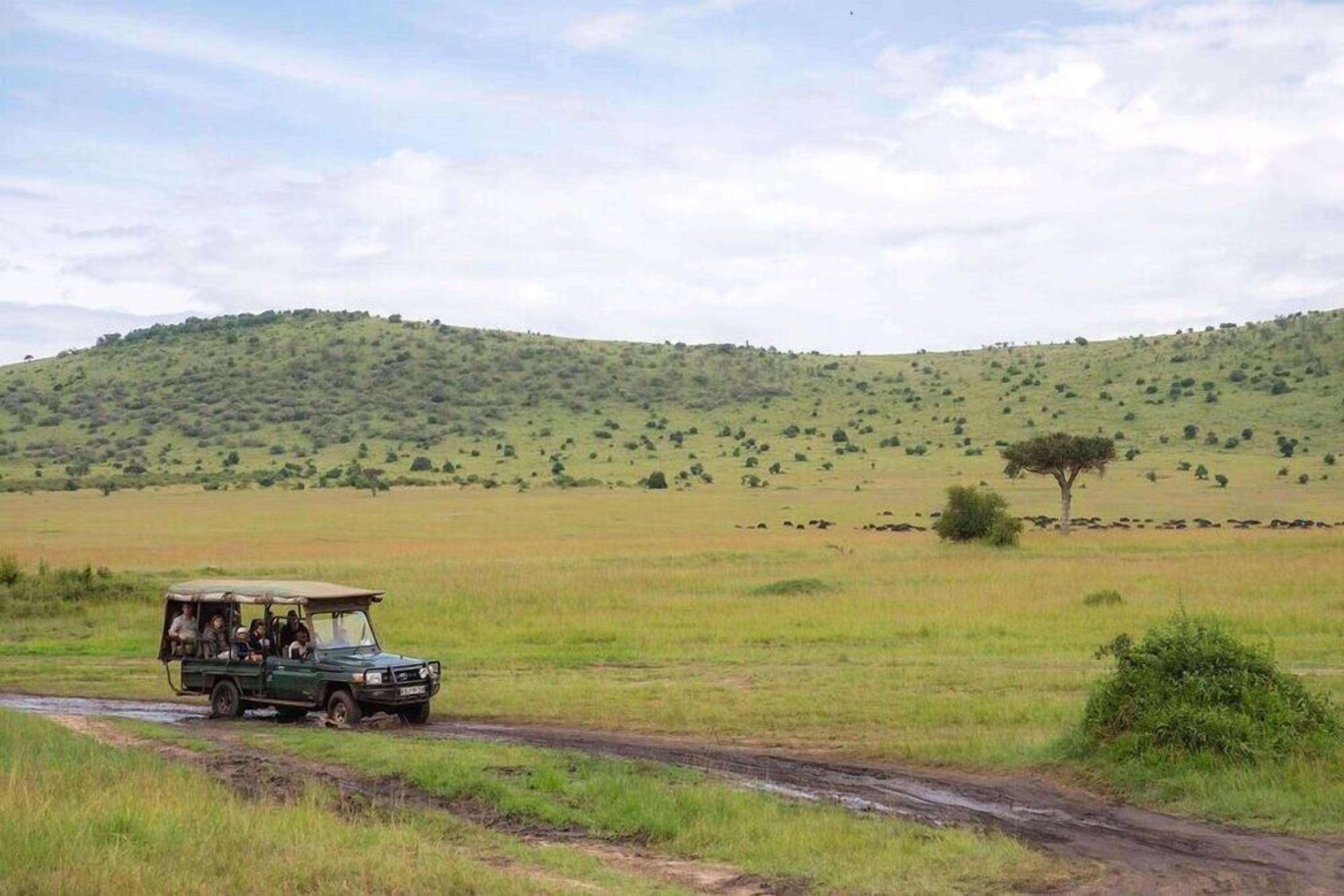 A safari vehicle on a dirt road with a grassy field and a hill in the background.