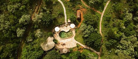 Outdoor pool, pool loungers