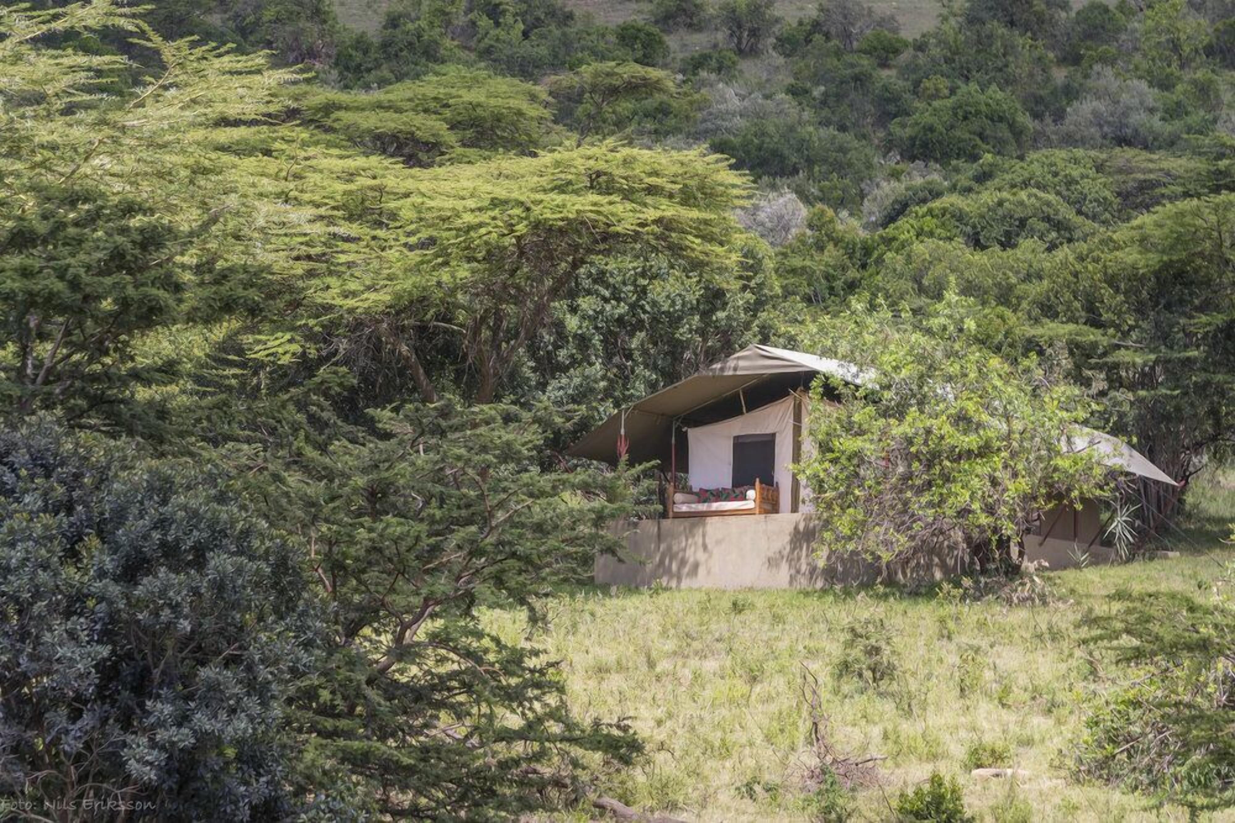 A small, single-story building with a sloped roof, surrounded by dense greenery.