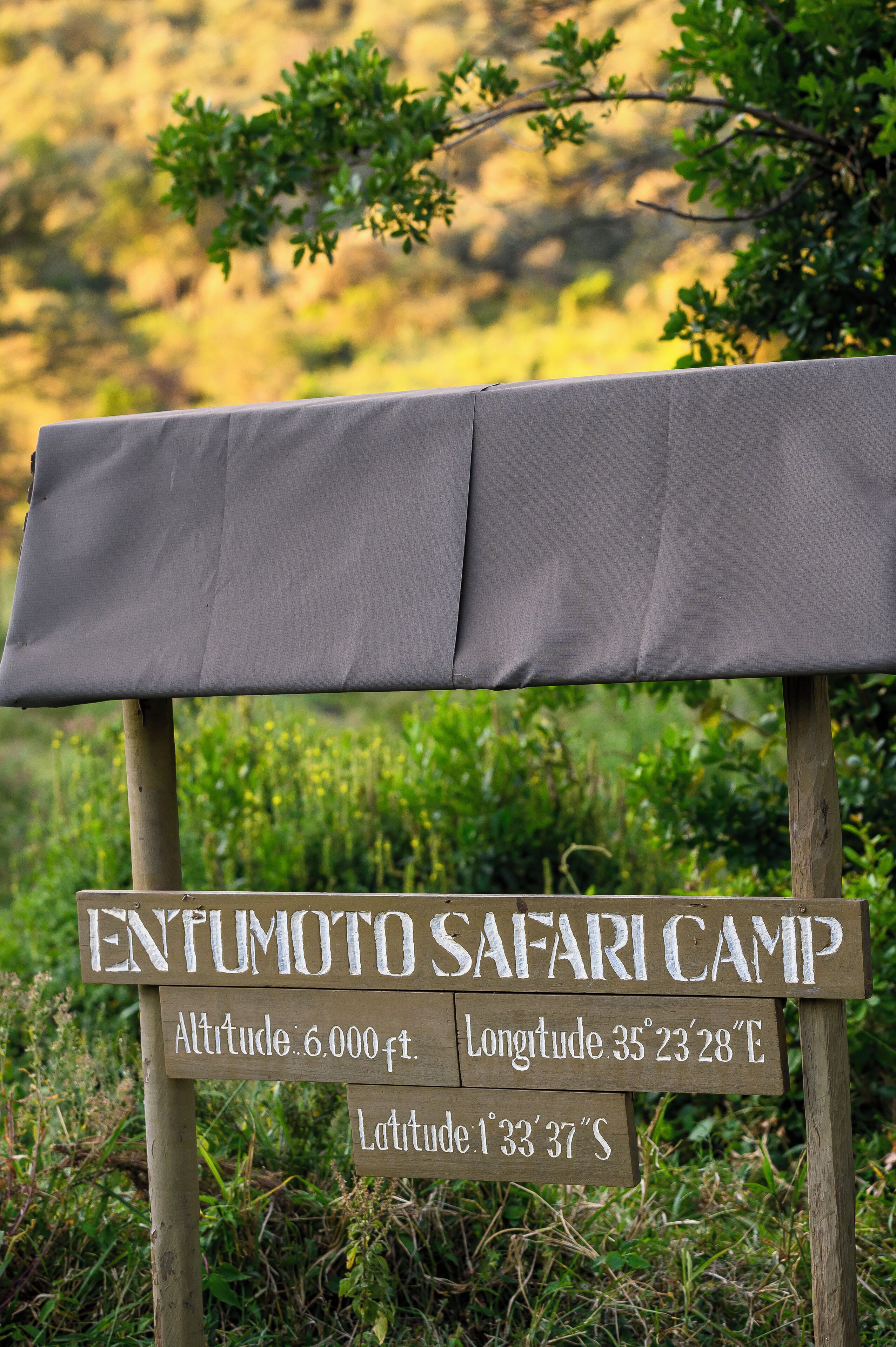 Cartelló d'Entumoto Safari Camp amb la seva altitud, longitud i latitud.