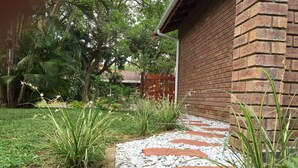 A garden pathway leading to a brick building with a wooden fence in the background. - Low Tide (St. Lucia)