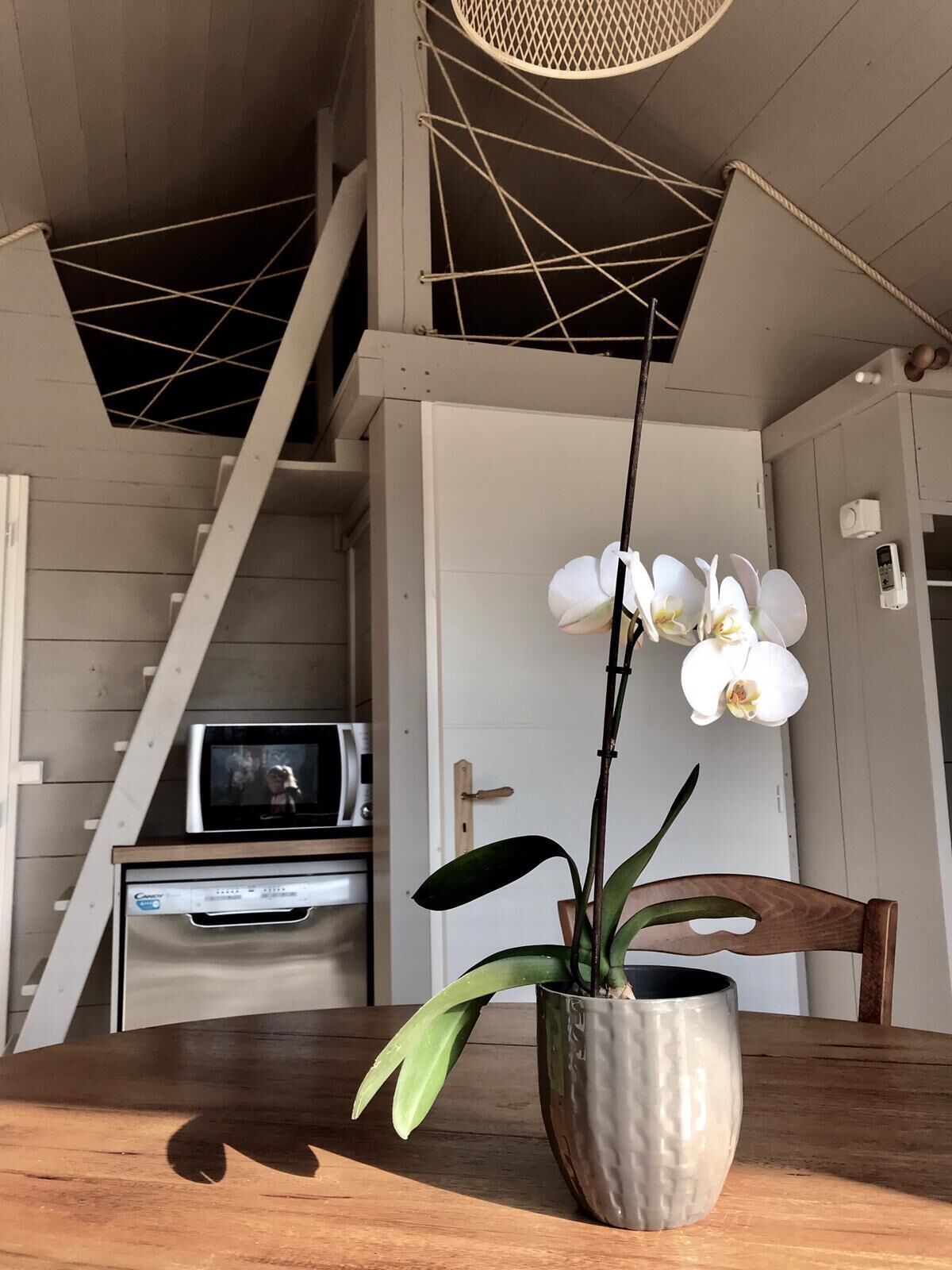 Een houten tafel met een potorkidee, een magnetron en een koelkast in een keuken met een houten trap op de achtergrond.