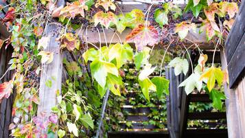 A wooden staircase with a wooden railing, surrounded by green and red leaves and berries.