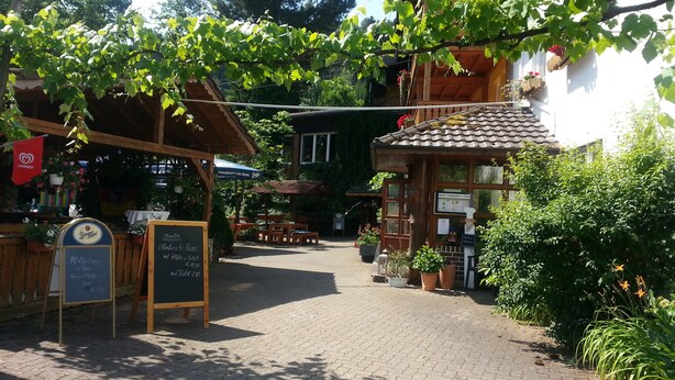 Un espace café en plein air avec des tables et des chaises en bois, entouré de verdure et de plantes en pot.