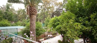 Veggie Garden Athens B&B