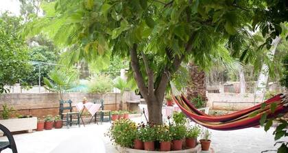 Veggie Garden Athens B&B