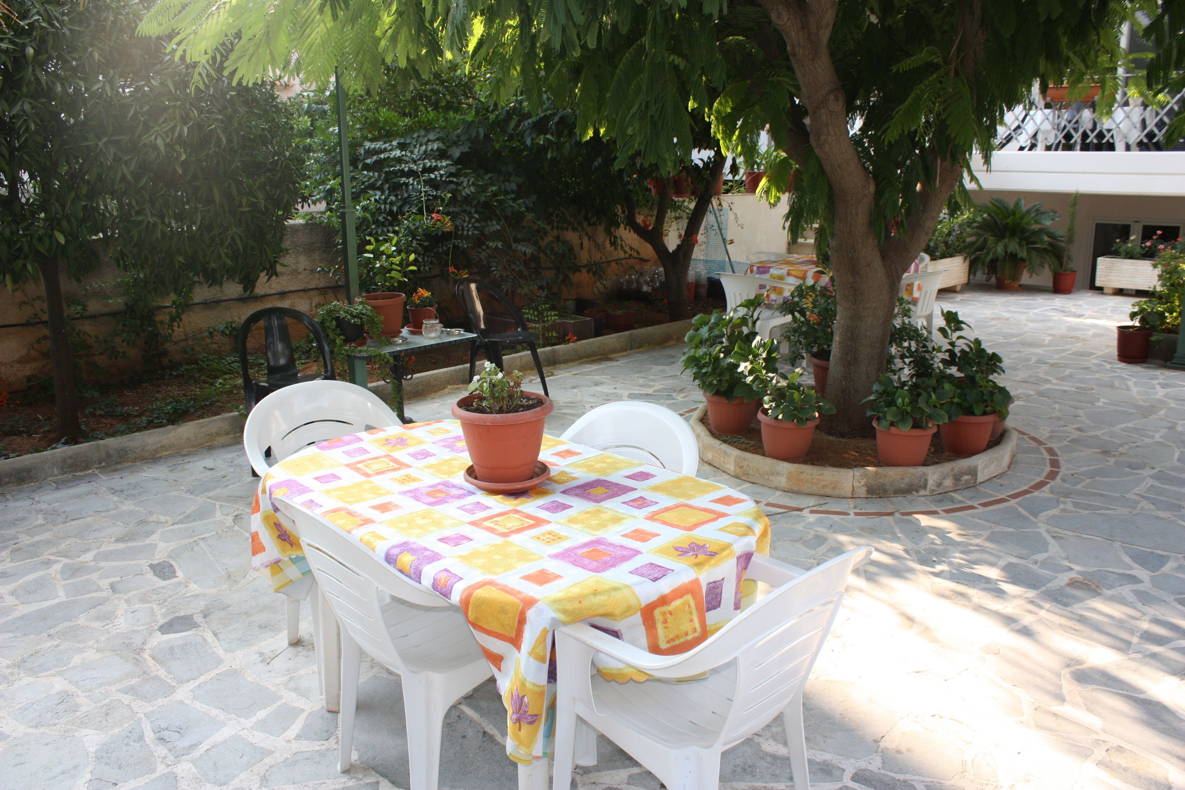 Foto - Veggie Garden Athens B&B