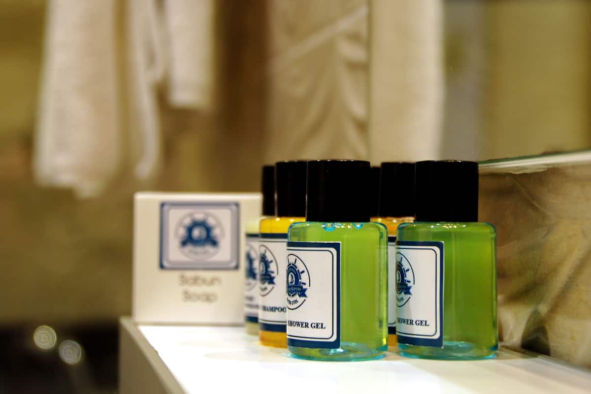 shower, free toiletries, hair dryer, slippers