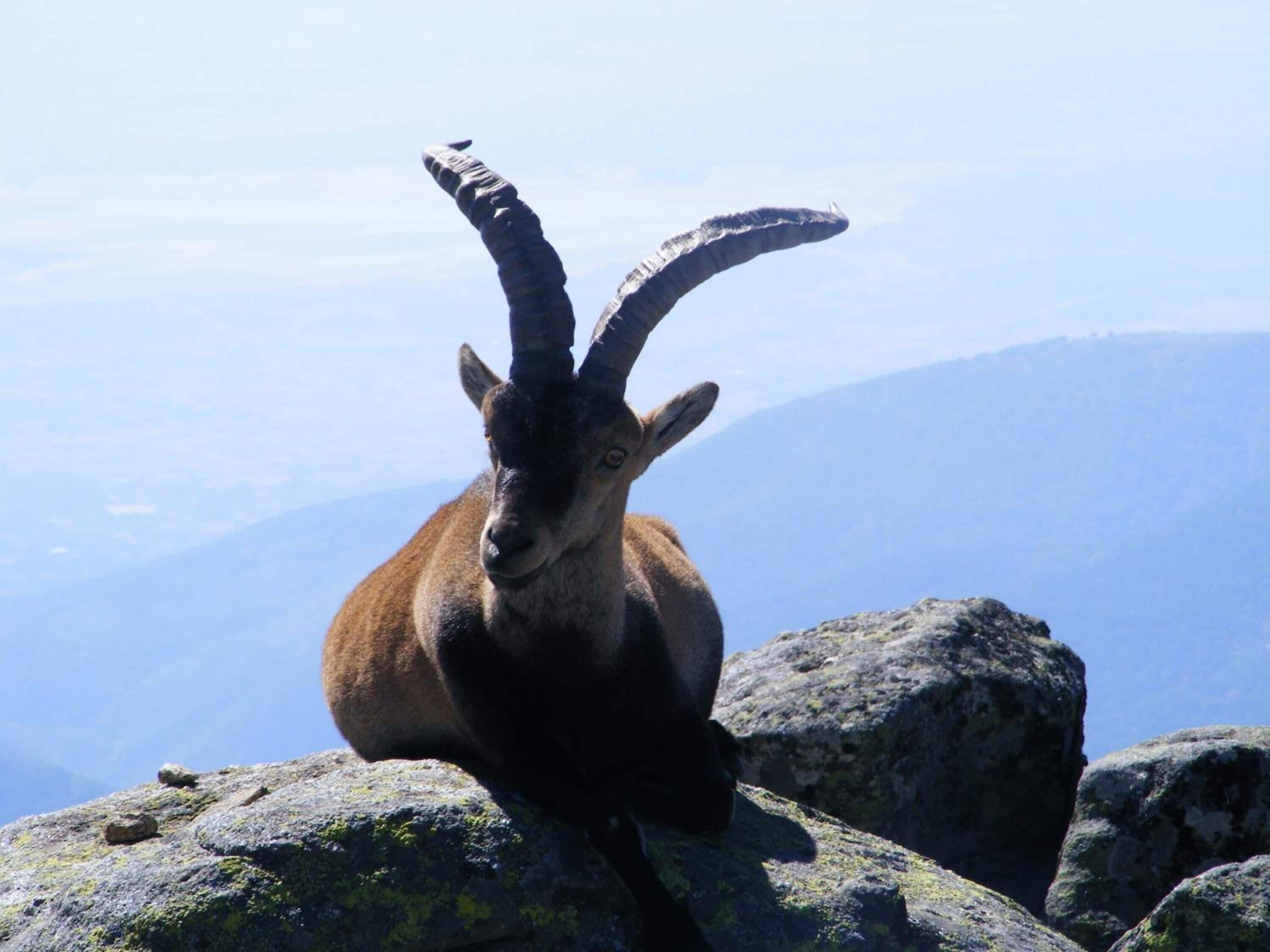 Photo - Hostal Avenida