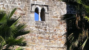 A stone castle wall with a window and palm trees.