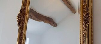 The Griffin