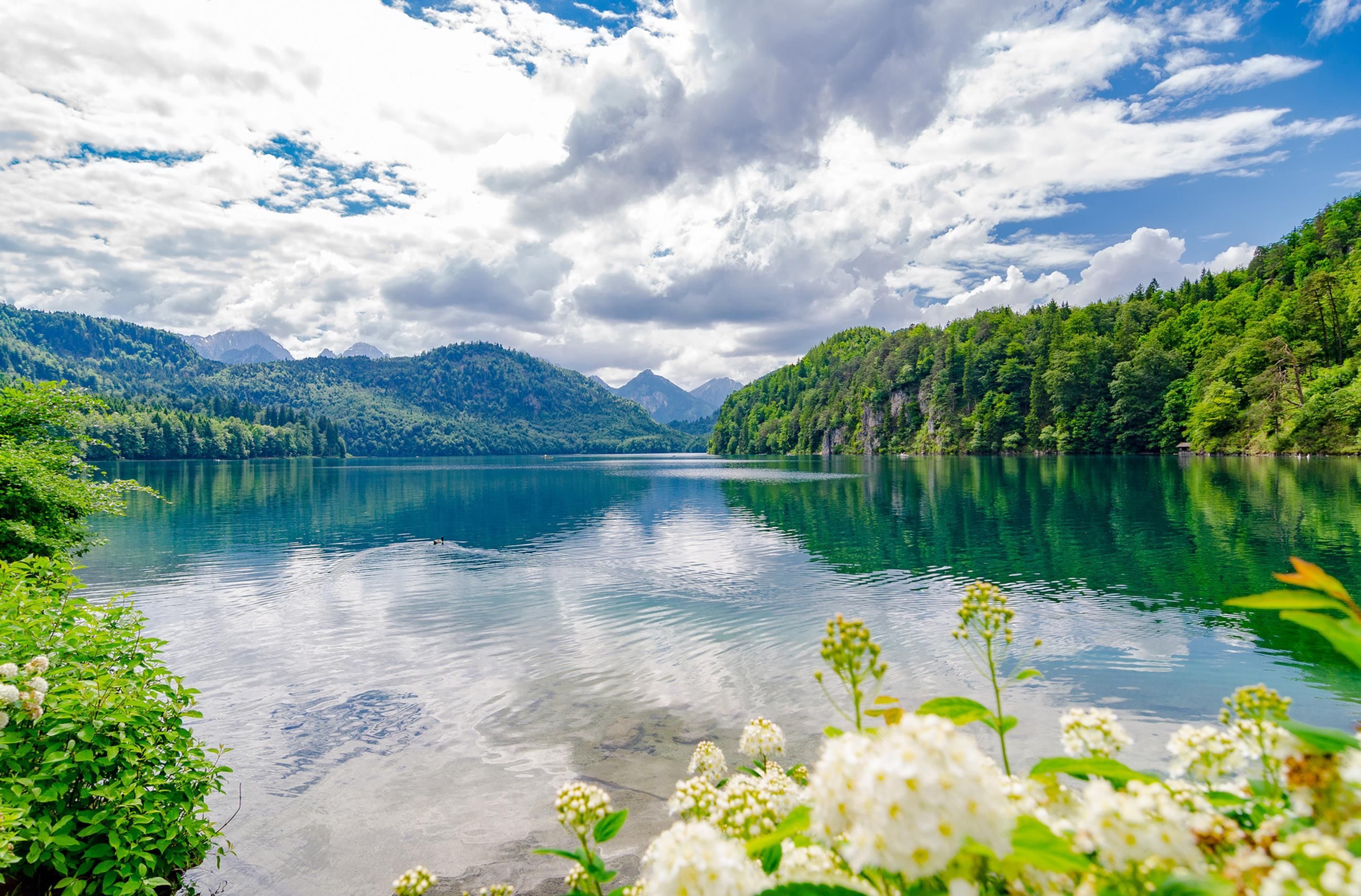 Un lago tranquilo rodeado de colinas verdes y un cielo despejado.