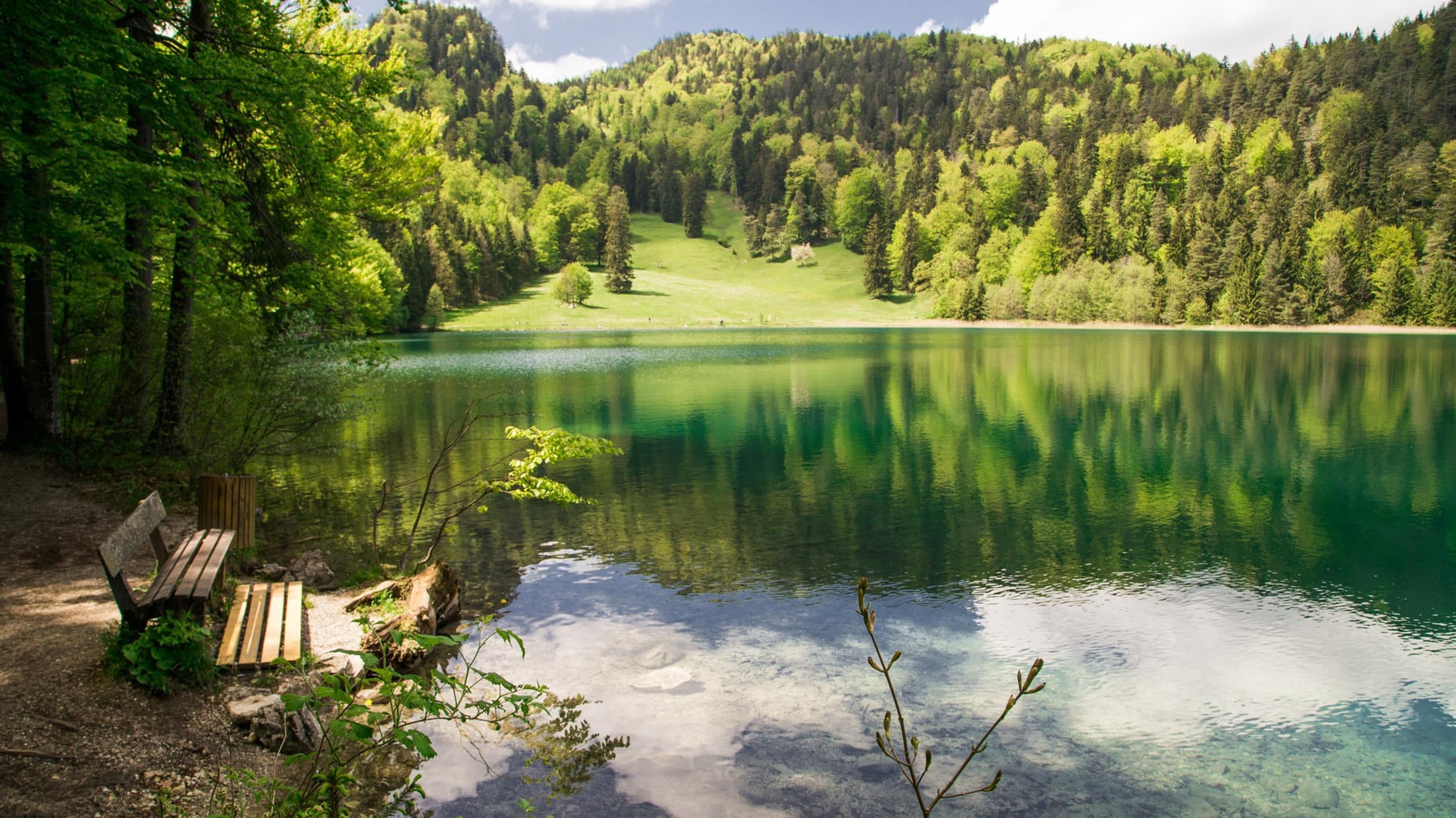 Un lago tranquilo con un banco de madera y una mesa de picnic junto a la orilla, rodeado de un bosque denso.