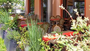 Un café en plein air avec des meubles en osier, des coussins rouges et des plantes en pot.