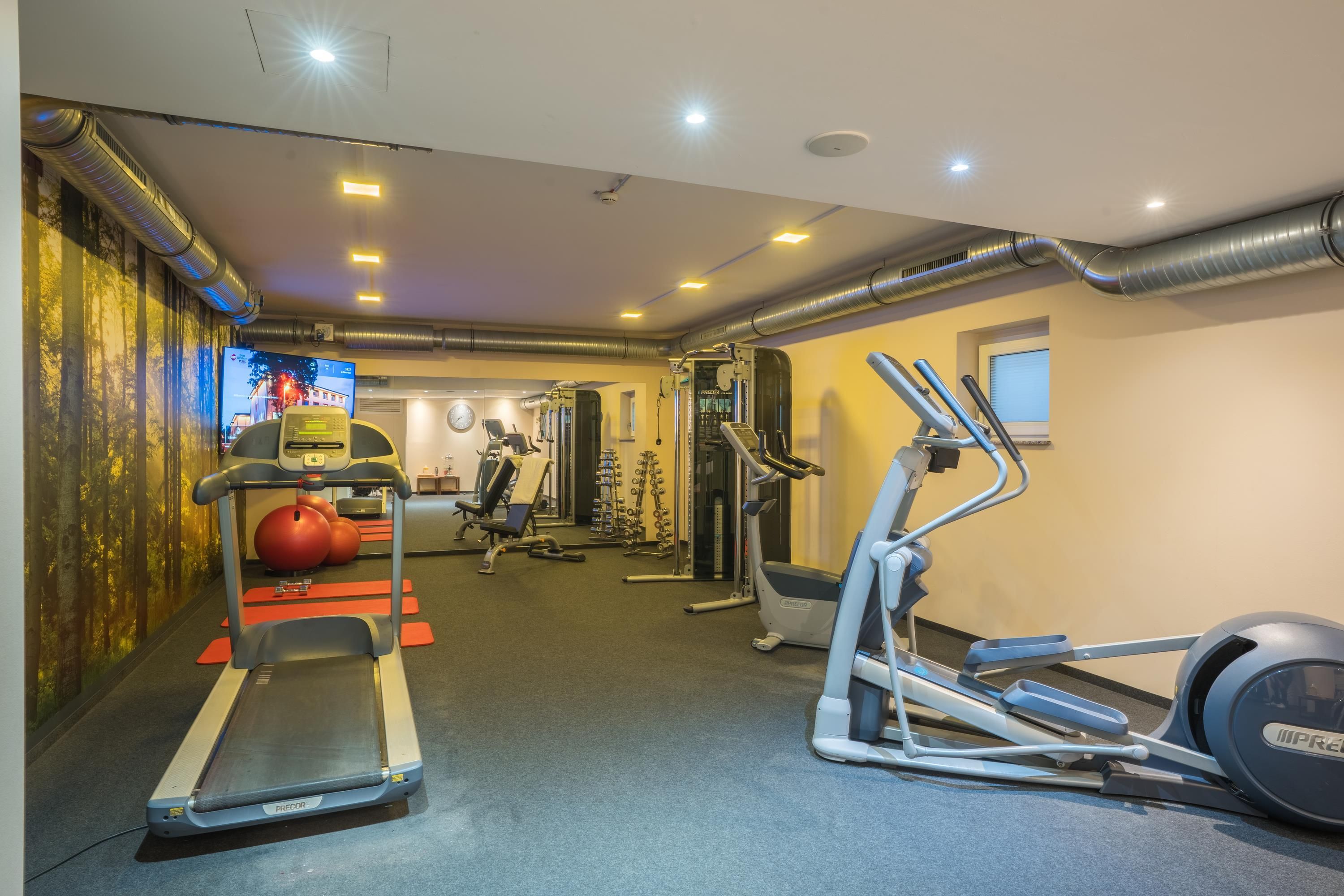 A gym with treadmills, elliptical machines, and weight equipment.