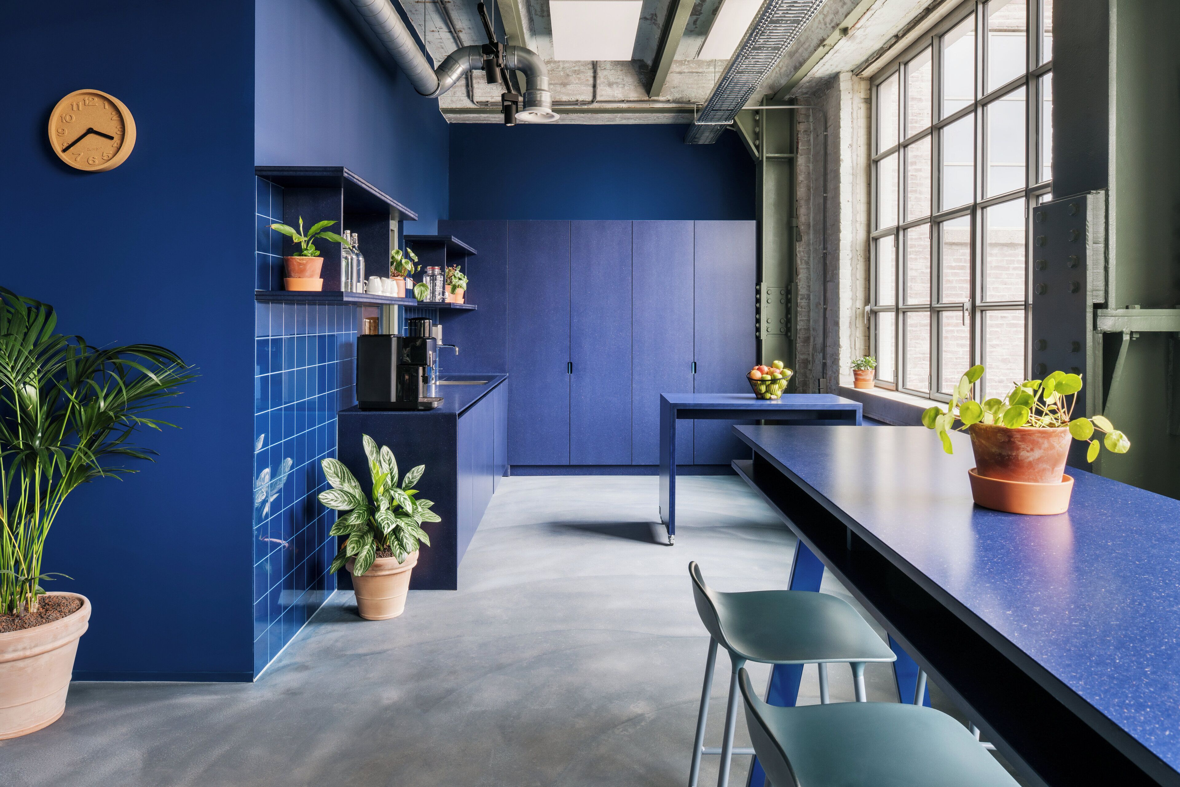 A modern kitchen with blue walls, a black countertop, and potted plants.