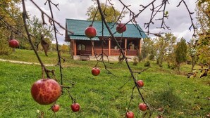 A rustic wooden house with a green roof, surrounded by a grassy area with apple trees. - Pensiunea Agroturistica Piscul Soarelui (Godeni)