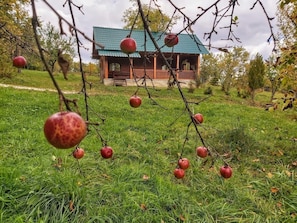 Exterior - Pensiunea Agroturistica Piscul Soarelui (Godeni)