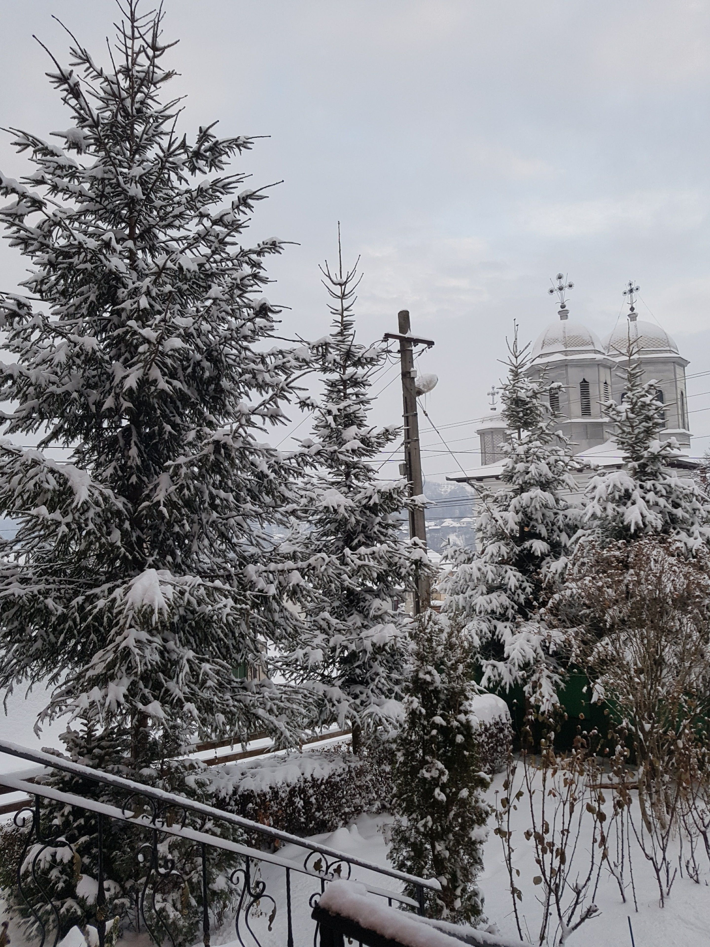 A snow-covered landscape with a large evergreen tree and a building with domed architecture in the background.