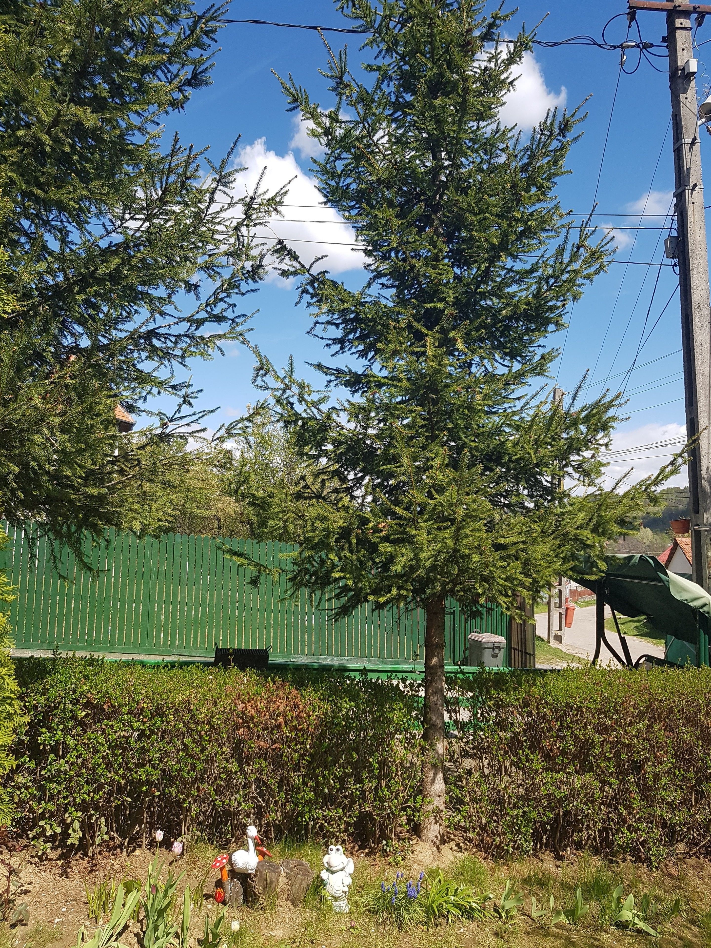 A green fence, a tree, and a small garden with various plants and a bird statue.