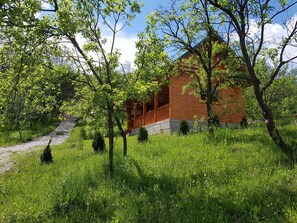 Property amenity - Pensiunea Agroturistica Piscul Soarelui (Godeni)