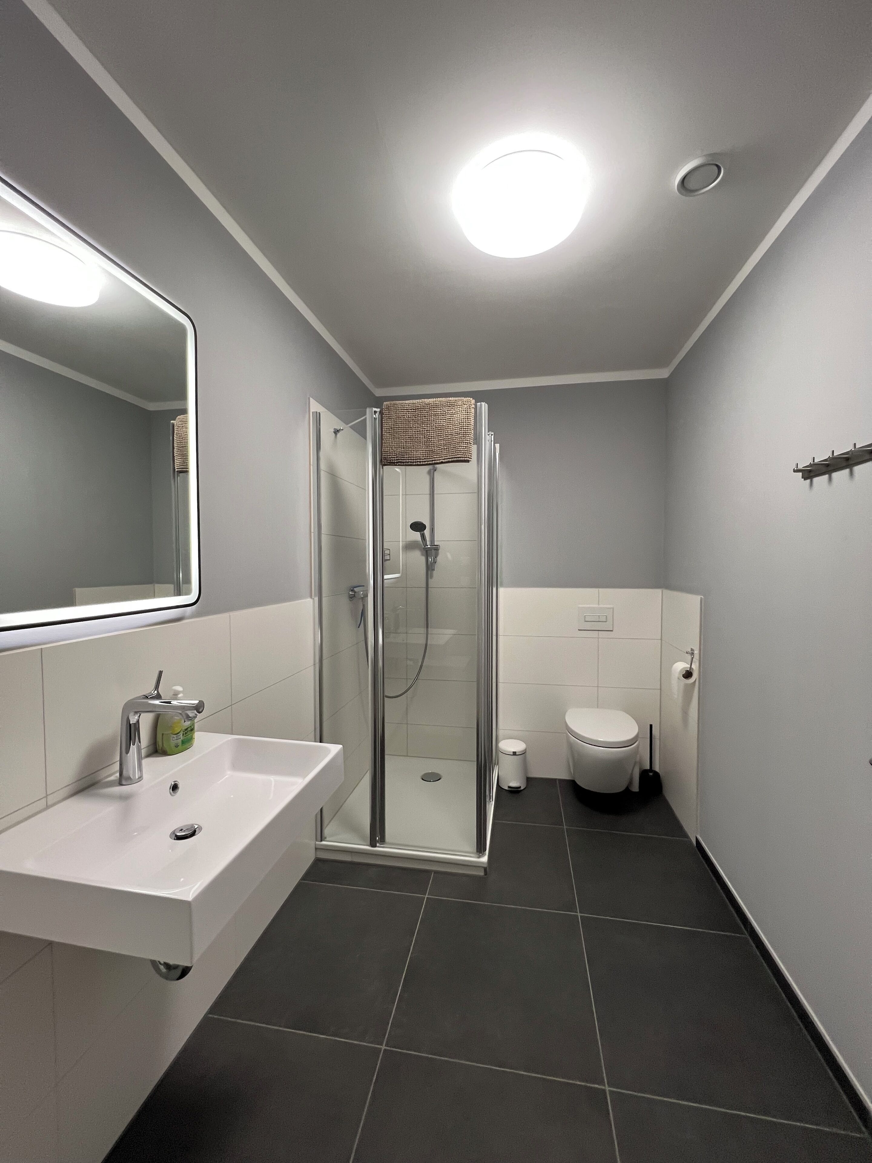 Ein modernes Badezimmer mit einer Duschkabine, einem weißen Waschbecken mit Spiegel und einer Toilette.