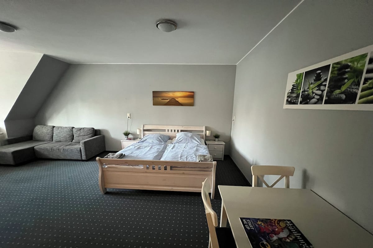 A bedroom with a bed, a sofa, a desk, and a chair.