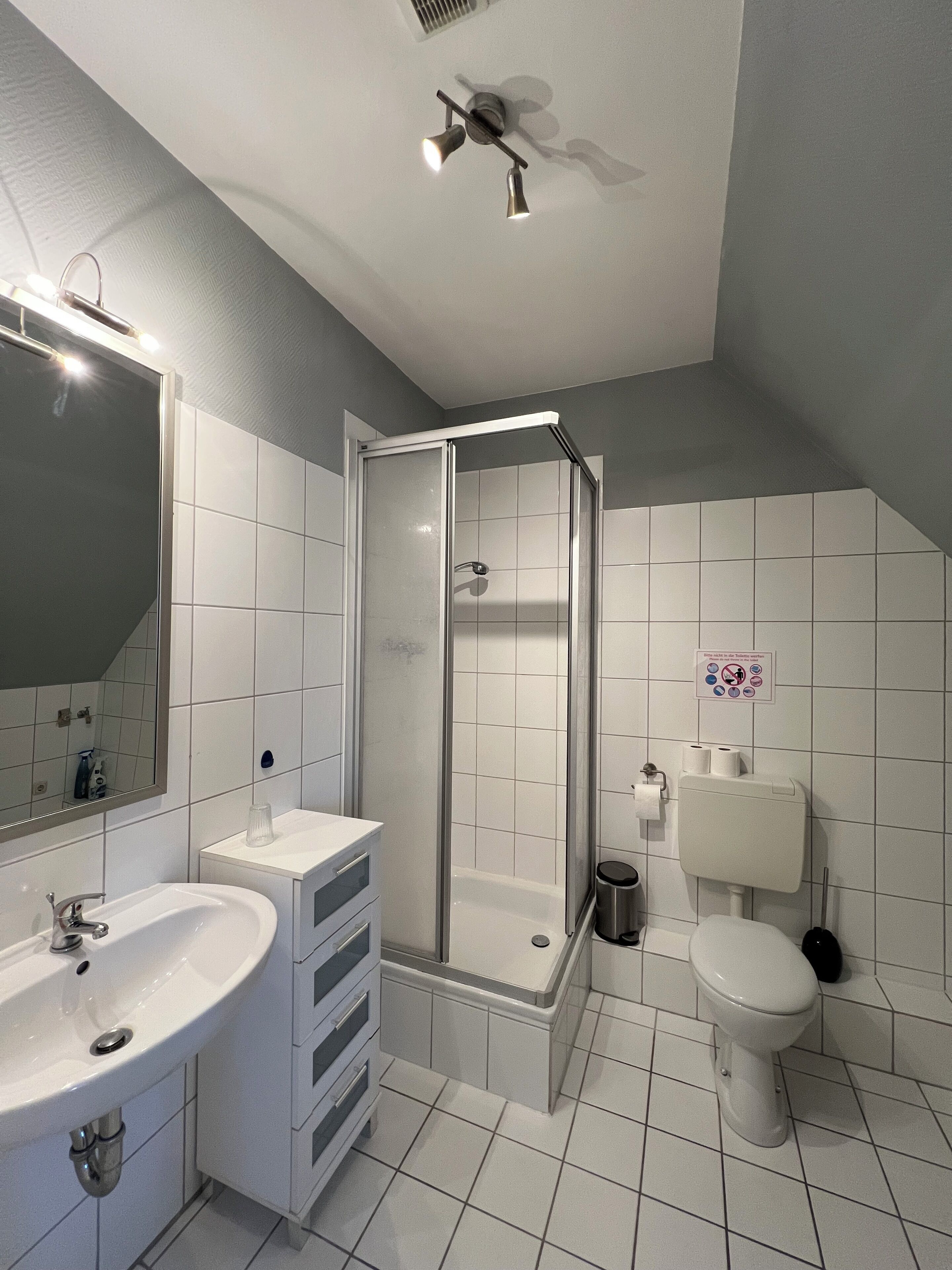 A modern bathroom with a shower, toilet, sink, and a ceiling fan.