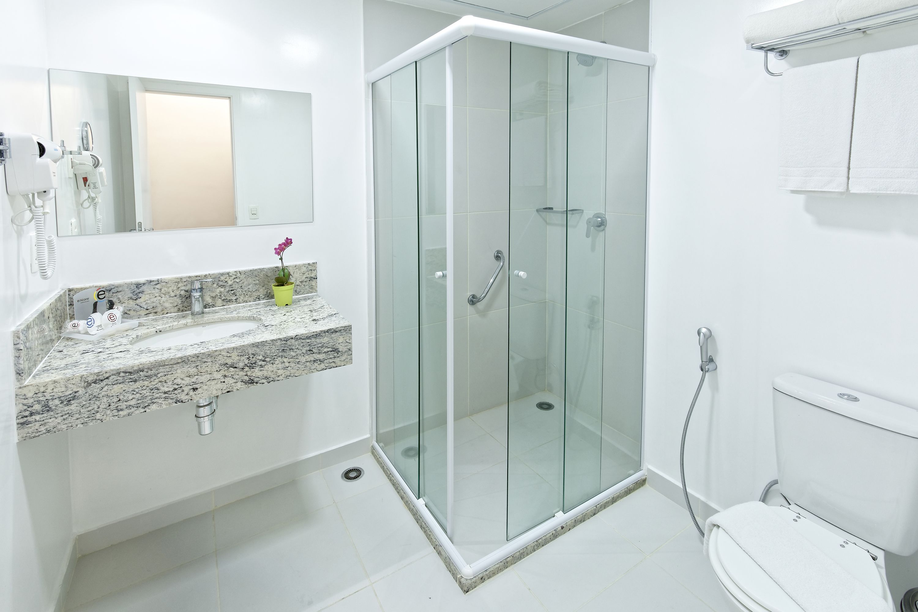 shower, free toiletries, hair dryer, towels