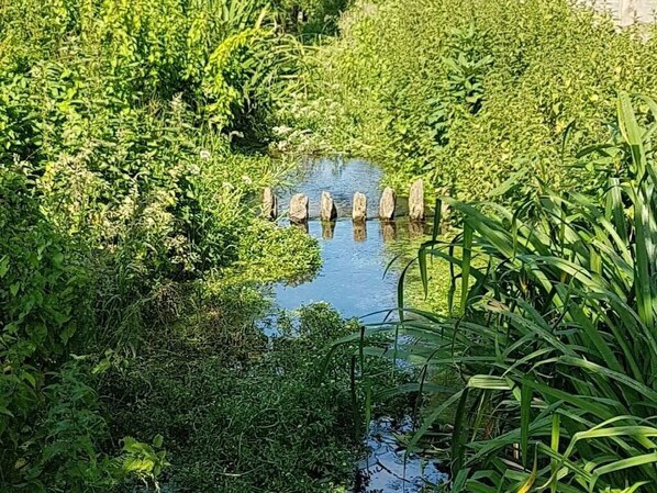 Apartment, Ensuite, Garden View | View from property - Streamside Apartments (Yeovil)