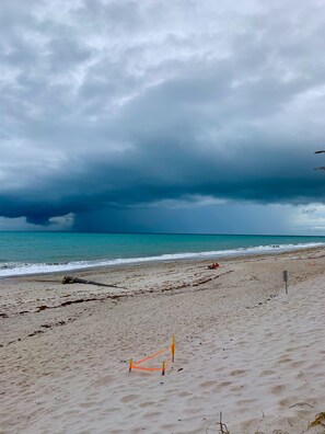 On the beach, sun loungers, beach umbrellas, beach towels