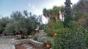 Un jardin avec des allées pavées de pierres, diverses plantes et une structure en bois rustique.