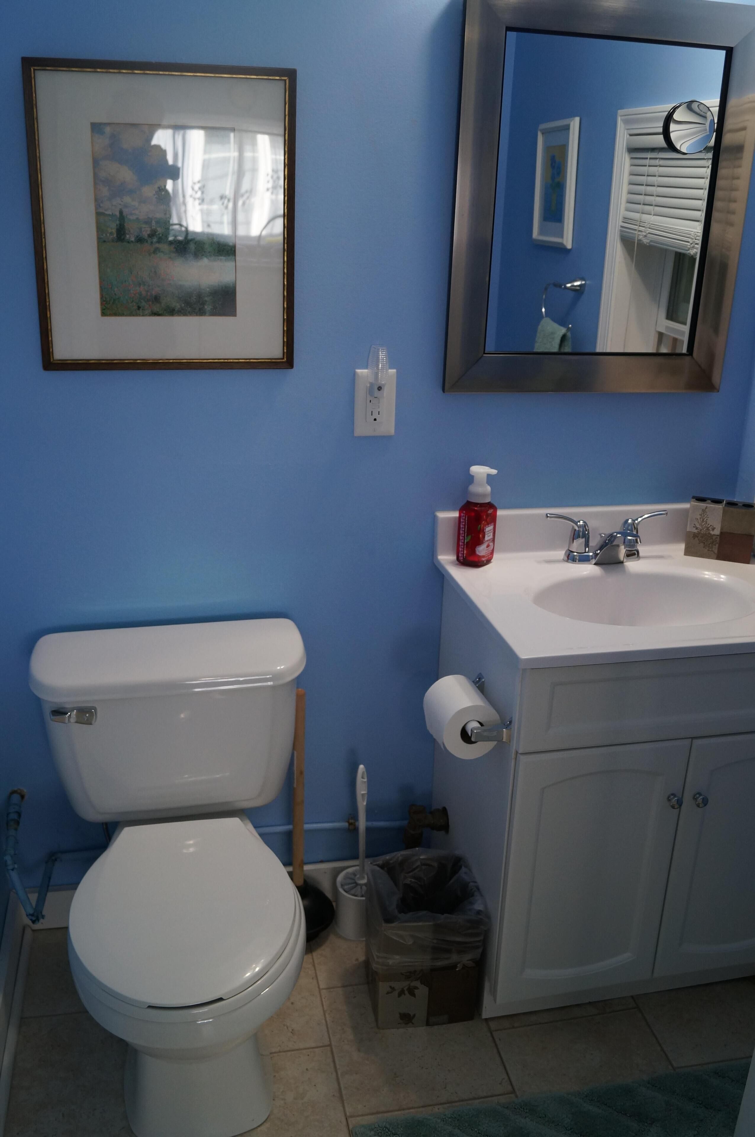 Douche, sèche-cheveux, serviettes fournies, papier toilette