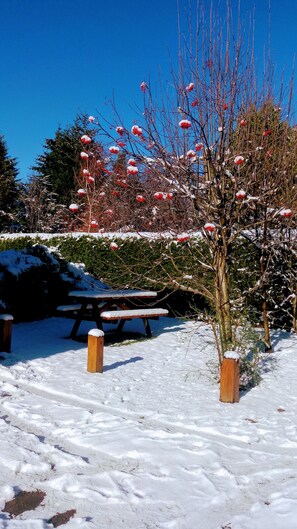 Property grounds - Tierras del Sur (Villa La Angostura)