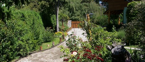 Cabin | View from room