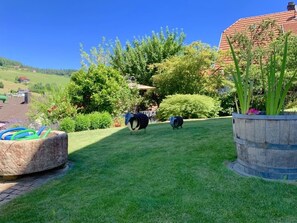 Un jardin bien entretenu, agrémenté d’un jardinière en pierre, d’une pelouse et de diverses plantes.