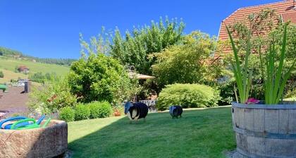 Gemütliche ****-Sterne Ferienwohnung mit großem überdachtem Balkon