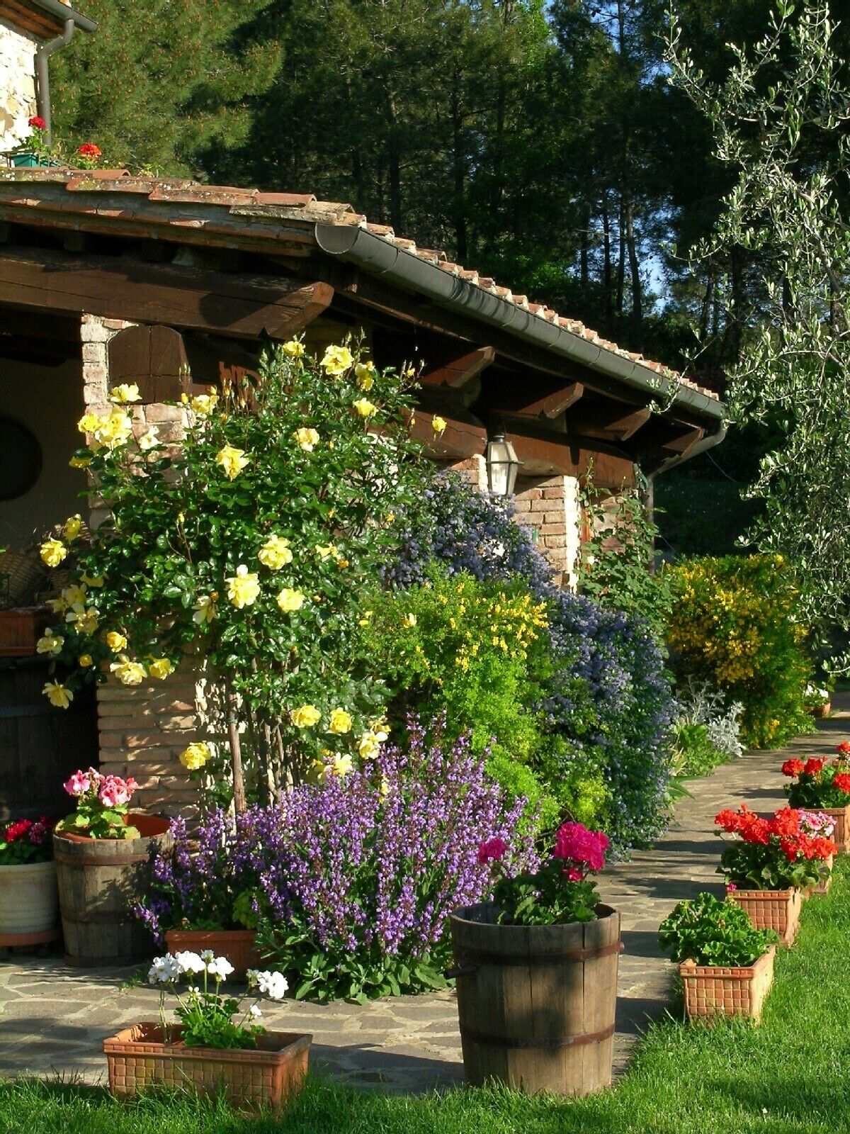 Jardines del alojamiento