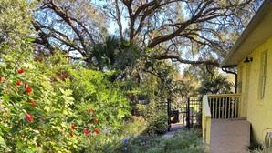 A garden pathway leading to a yellow building with a wooden deck and a black railing.