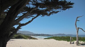 Una playa con un gran árbol en primer plano, cielo despejado y vistas al océano y colinas distantes.