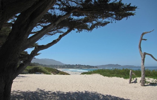 Newly remodeled Ocean Hideaway in Downtown Carmel